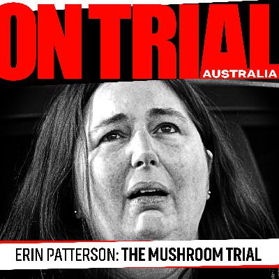 Why Erin Patterson is fighting her convictions