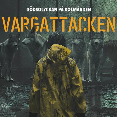 Vargattacken: Ingen rädder för vargen här 1/3
