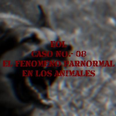 Caso No. 08 el fenómeno paranormal en los animales