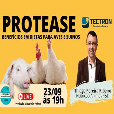 Protease e seus benefícios em dietas de aves e suínos | Thiago Ribeiro, TecTron