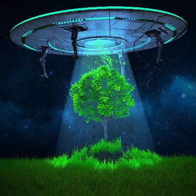Otherworldly Encounters Episode: 2 The Crone