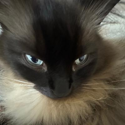 Choo choo charles!! ( full game description! )