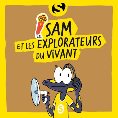 Episode 4 : Pourquoi les marais sont les éponges de la nature ? Episode 4 : Pourquoi les marais sont les éponges de la nature ?