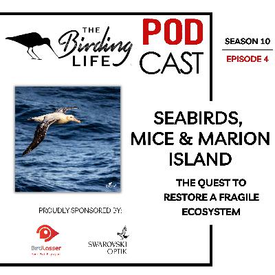 TBL Podcast - Season 10 Episode 4 - Seabirds, Mice, and Marion Island: The Quest to Restore a Fragile Ecosystem