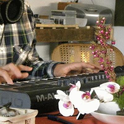 Music For Plants: Live in Hyde Park (Chicago), 2011
