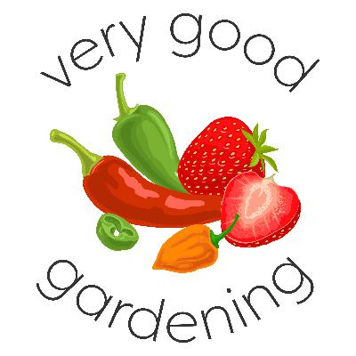 Episode 2 - All About Tomatoes