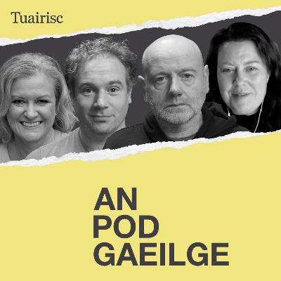 ‘Mionnaím go sollúnta go bhfoghlaimeoidh mé Gaeilge má thoghtar i m’Uachtarán ar Éirinn mé…’