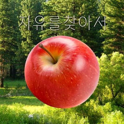 EP.12 통제형 인간이 비로소 자유로워지는 주문 (ft. 렛댐이론)