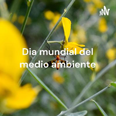 چرا گره فقر گشوده نمیشود؟ چرا گره فقر گشوده نمیشود؟