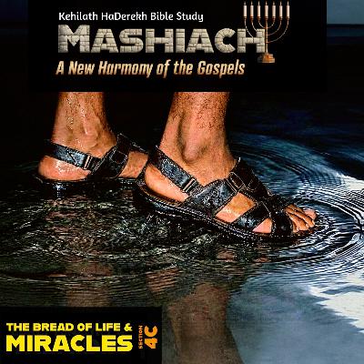 Mashiach: The Bread of Life & Miracles Mashiach: The Bread of Life & Miracles