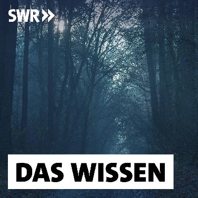 Die Kraft der Dunkelheit – Angst, Ruhe, Erkenntnis