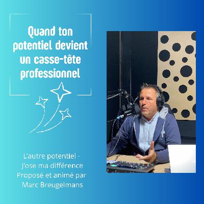 Episode 47 - Quand ton potentiel devient un casse-tête professionnel