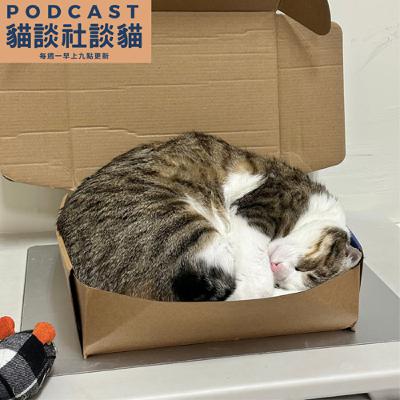 EP214 為什麼貓咪飲食讓人這麼焦慮？
