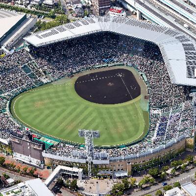 夏の甲子園をもっと楽しむ　全国の地方大会を取材した記者が語る見どころ #12-1