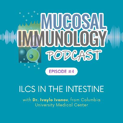ILCs in the intestine