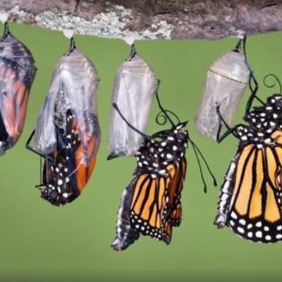 Sesión de Coaching