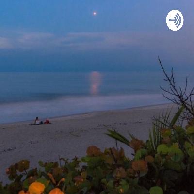 just me talking rubbish for 8 min straight so lord have mercy on ya lol nothing fun unfortunately!🤪😭 just me talking rubbish for 8 min straight so lord have mercy on ya lol nothing fun unfortunately!🤪😭