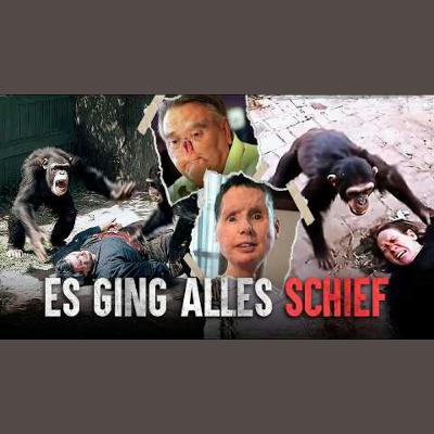 Was passiert, wenn Menschenaffen angreifen? Was passiert, wenn Menschenaffen angreifen?