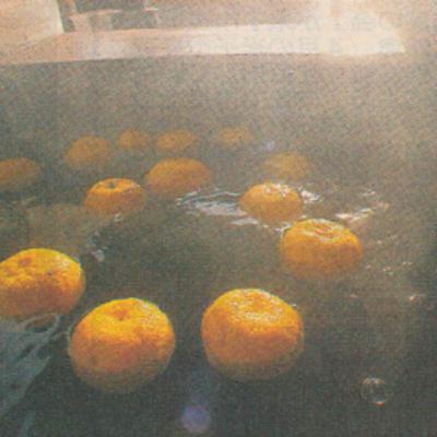 【第五十七考】温泉を訪ねあるく