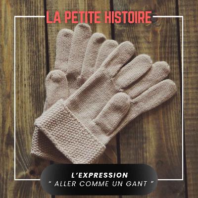 D'où vient l'expression " Aller comme un Gant " D'où vient l'expression " Aller comme un Gant "