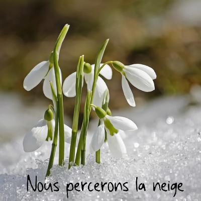 REMUSICALISER LE MONDE 26 REMUSICALISER LE MONDE 26