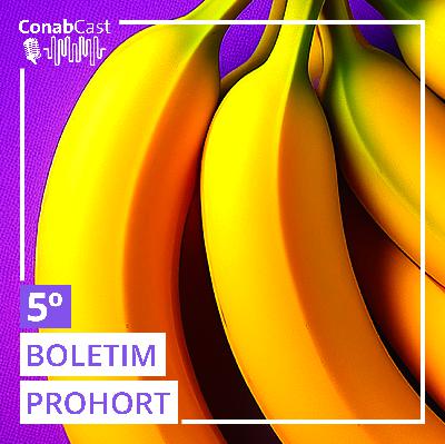 Boletim da Conab aponta queda de preços da cenoura nos principais mercado atacadistas