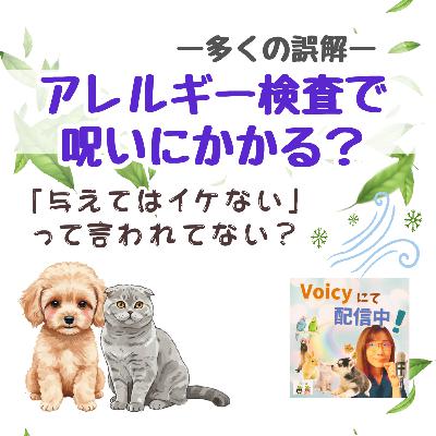一般公開LIVE🍀犬猫のアレルギー検査で呪いの言葉をかけられる❓🐶🐱