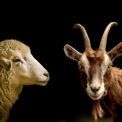 155. Set Apart, For His Presence, By Faith | Elisha’s Testing pt 1