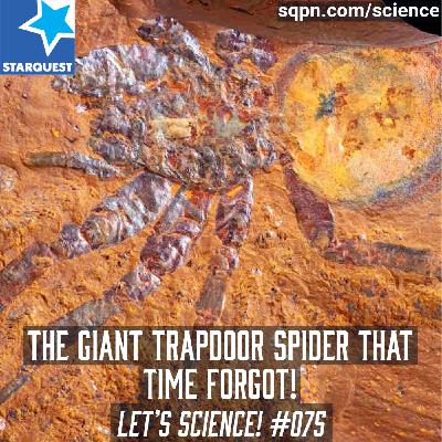 The Giant Trapdoor Spider That Time Forgot!