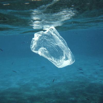 Episode 135: Plastic Oceans