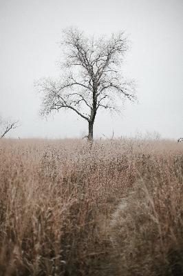 #25 SLOW DOWN: living with your moon seasons
