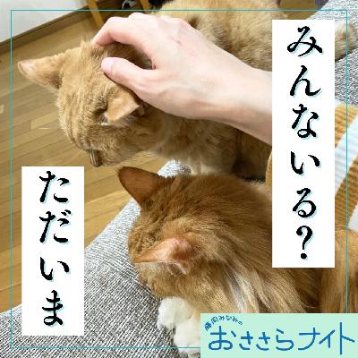 Podcast版　2026/1/24 第181回