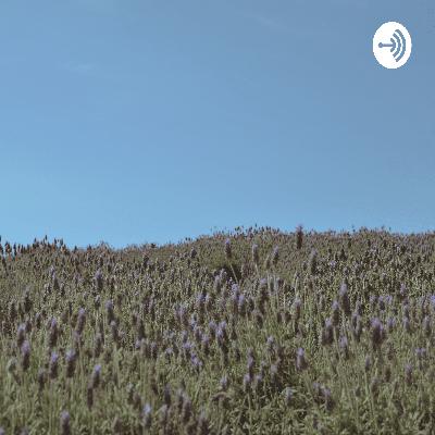 Podcast sobre a autoestima