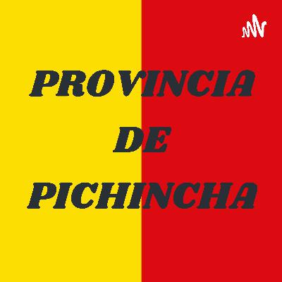 REPORTE DIGITAL PROVINCIA DE PICHINCHA