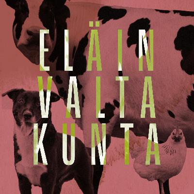 Miten rakennetaan kissalle hyvä elämä? Miten rakennetaan kissalle hyvä elämä?