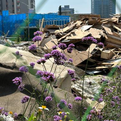 起手無回然後什麼大丈夫 未免太難不後悔 起手無回然後什麼大丈夫 未免太難不後悔