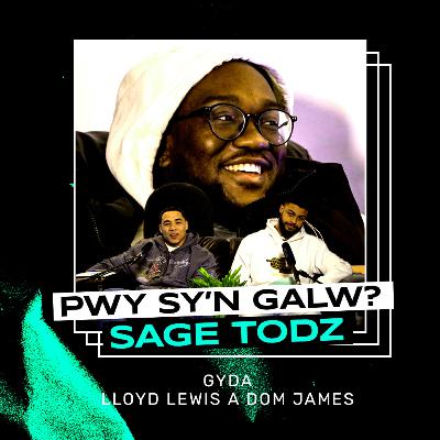 Pwy Sy'n Galw? | Sage Todz