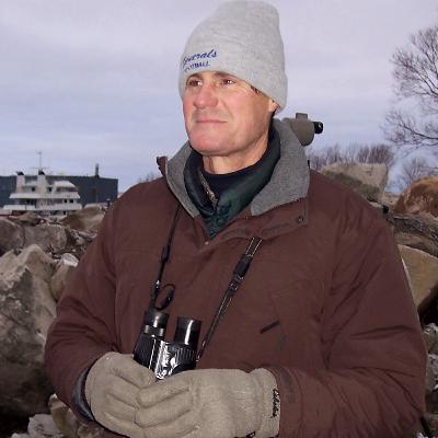 The Gull Whisperer The Gull Whisperer