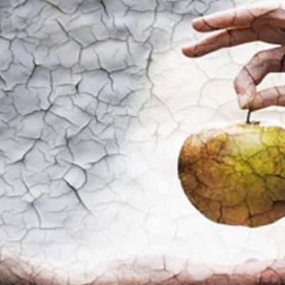 قسمت سوم، بخش چهارم: مونس