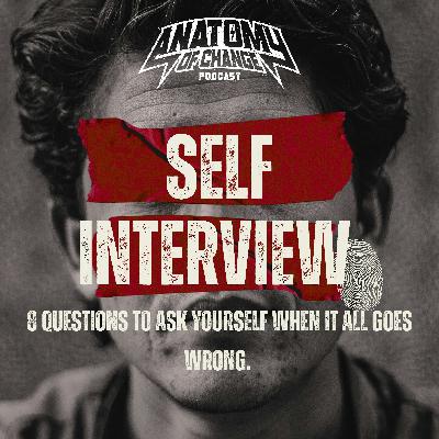 8 questions to ask yourself when it all goes wrong.  Self Interview with Seth