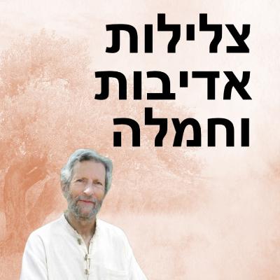 חמלה כדרך חיים