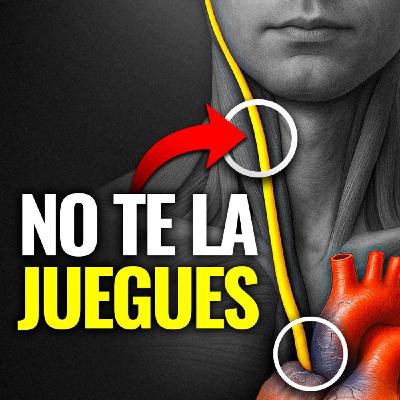 ¡CUIDADO! El PELIGRO OCULTO de Estimular el NERVIO VAGO (Evita ESTOS 5 Errores FATALES) ¡CUIDADO! El PELIGRO OCULTO de Estimular el NERVIO VAGO (Evita ESTOS 5 Errores FATALES)