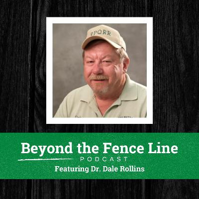 Episode 24 - Working Lands and Wildlife with Dr. Dale Rollins