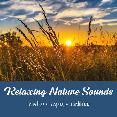 Sultry Summer Evening | 3 Hours