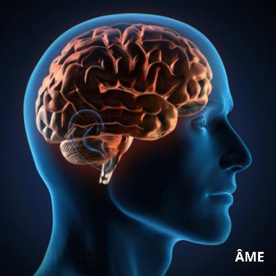 Un Corps & une Âme ?