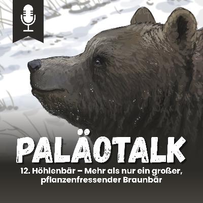 12. Höhlenbär – Mehr als nur ein großer, pflanzenfressender Braunbär 12. Höhlenbär – Mehr als nur ein großer, pflanzenfressender Braunbär