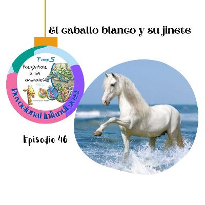 Episodio 46: El caballo Blanco y su jinete