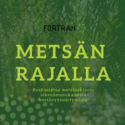 Suomalaisen metsäsektorin vipupisteet: arvot. 7.jakso Metsän rajalla -podcast