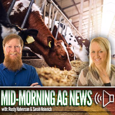 Mid-morning Ag News, November 11, 2025: Whole milk in schools could help boost the farm economy