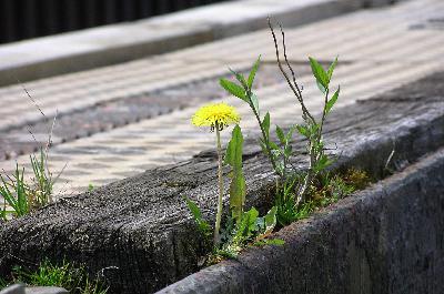 Podcast S2E6: Resilience. Really? Podcast S2E6: Resilience. Really?